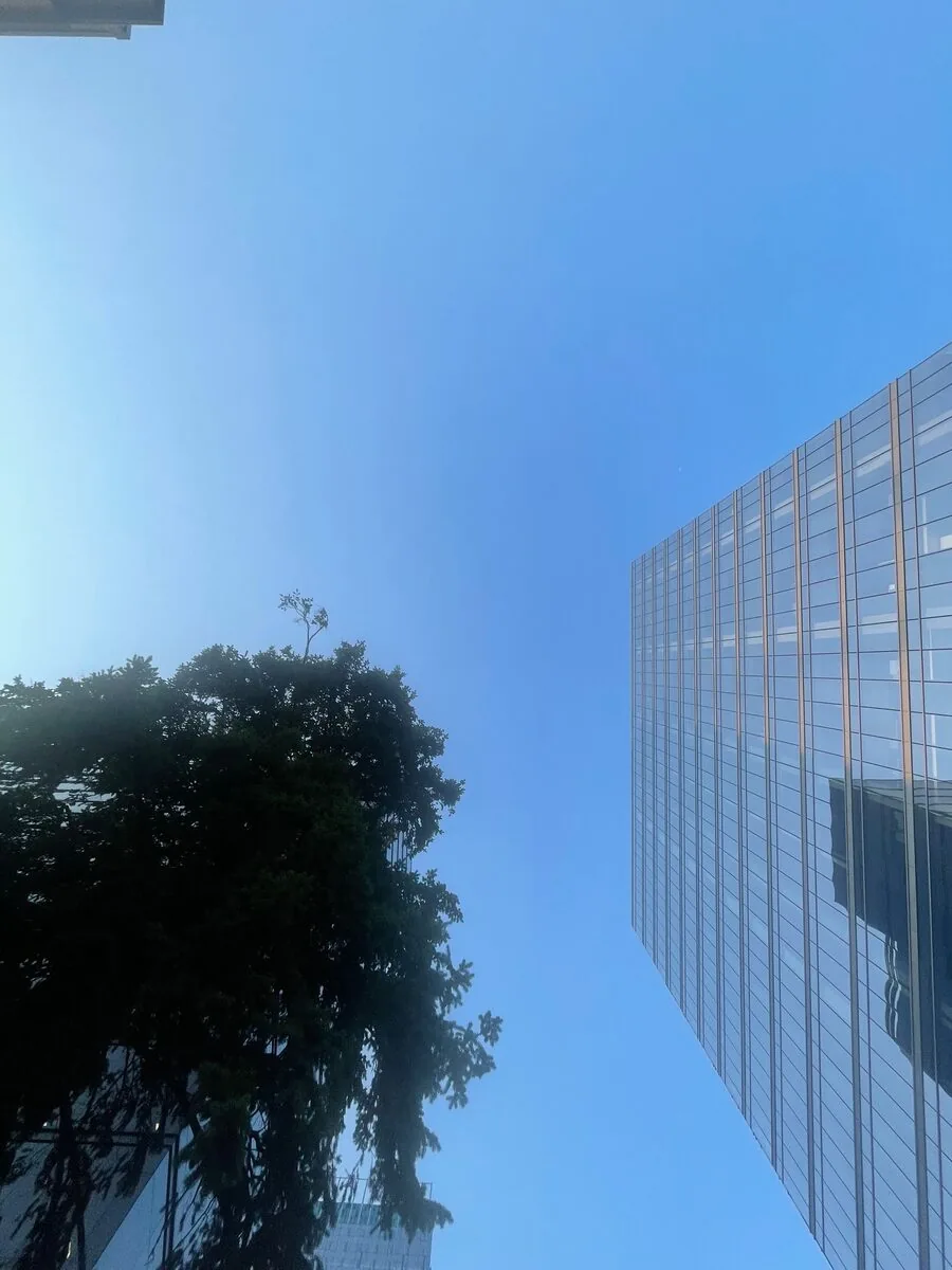 The Bellevue, Washington skyline